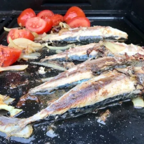 Maquereaux à la provençale, oignons tomates à la plancha