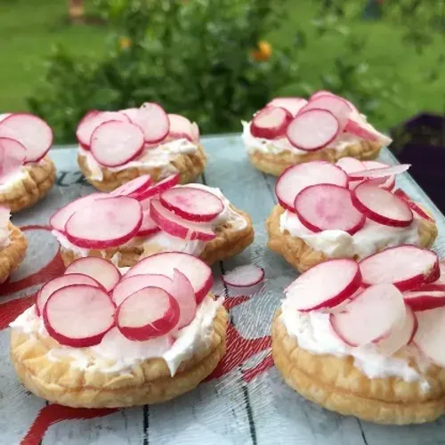 Toasts de radis du jardin